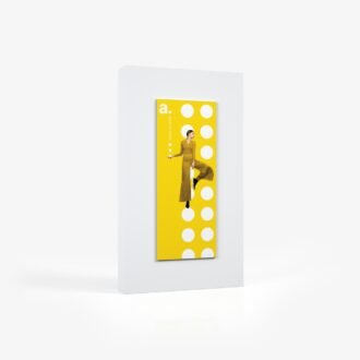 image adFrame STF 100x250